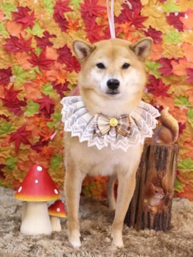 20241113シュウくん